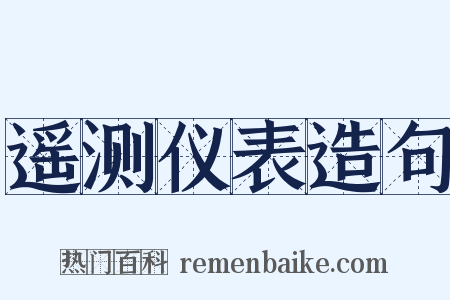 遥测仪表造句是什么意思的图片